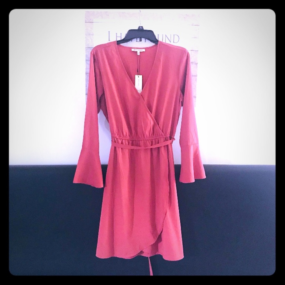 NWT! Speed Control New York Rose Blush Dress
